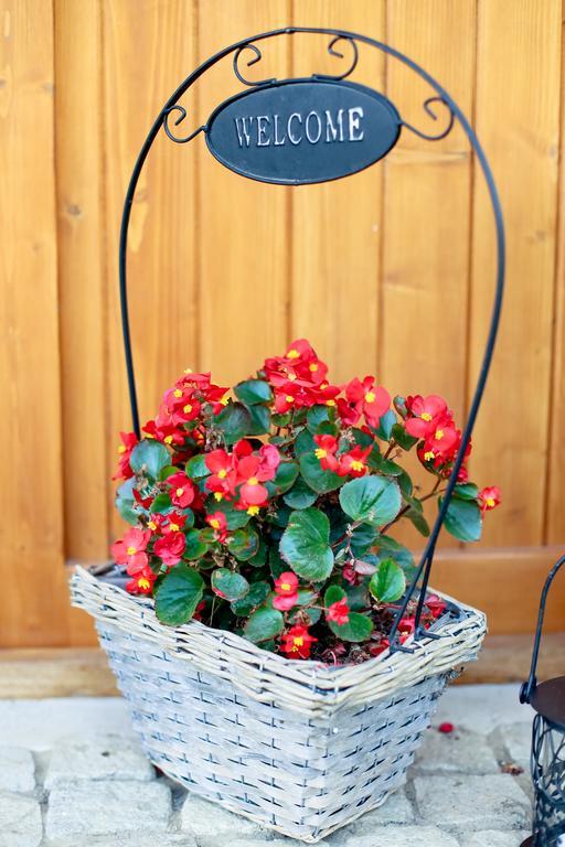 Landhaus Bed&Breakfast Vişeu de Sus Exteriör bild