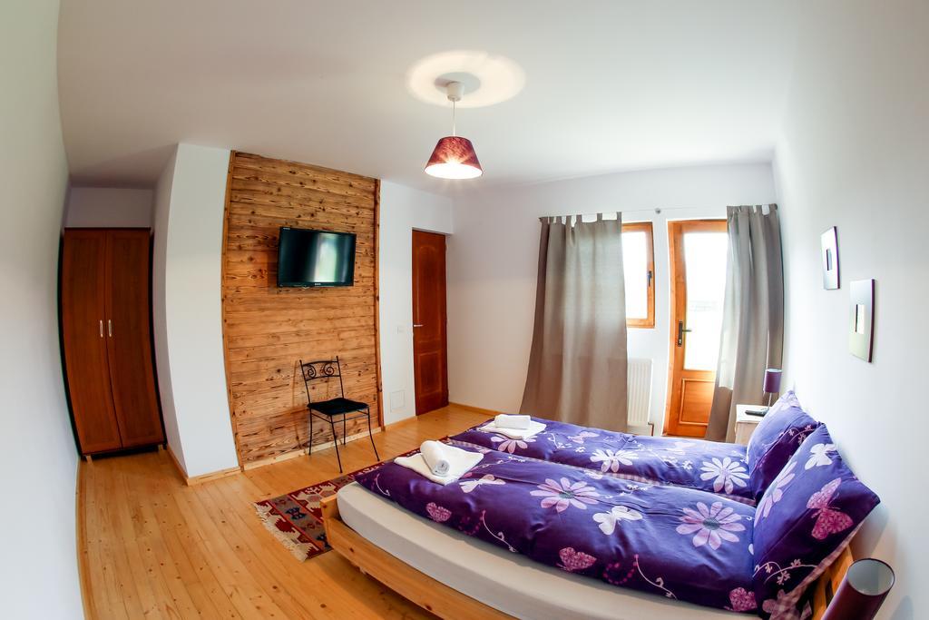 Landhaus Bed&Breakfast Vişeu de Sus Rum bild